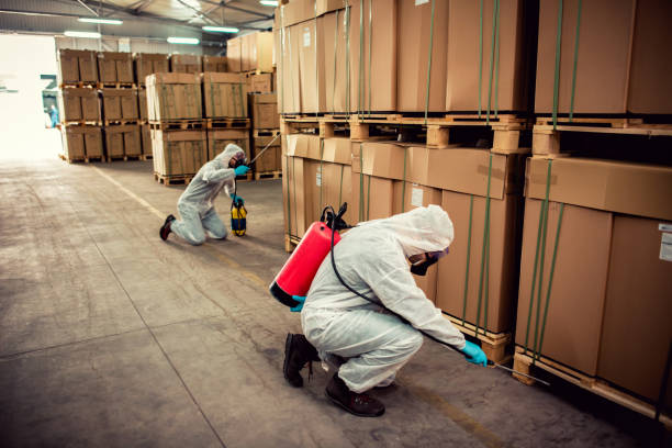 Best Cockroach Control Services  in Ceredo, WV