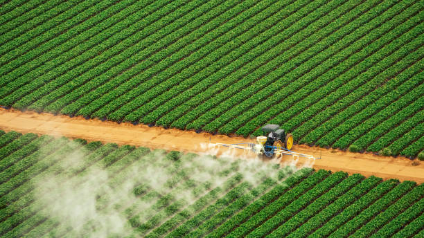 Best Pest Inspection Near Me  in Ceredo, WV