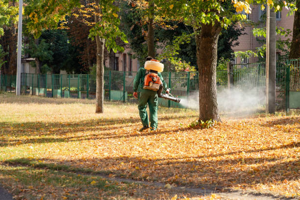 Best Pest Control Treatment  in Ceredo, WV